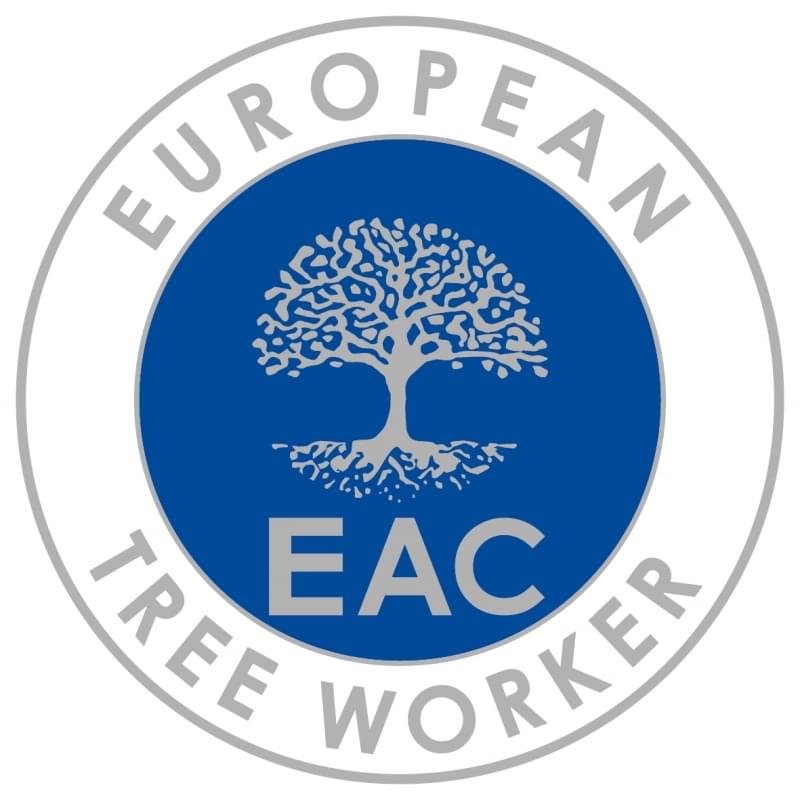 European tree worker in Soest
