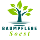 Baumpflege Soest